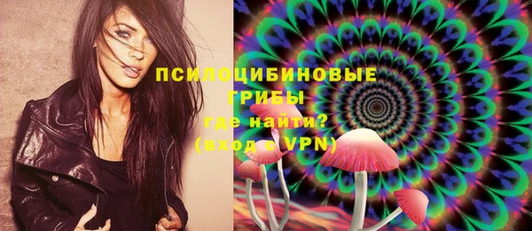 МДМА Приозерск