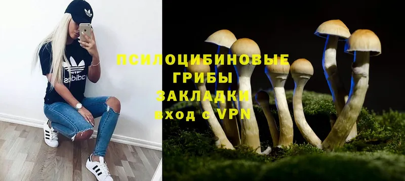 Псилоцибиновые грибы мицелий  Армянск 
