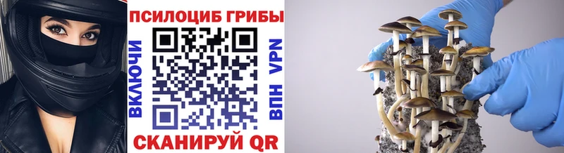Псилоцибиновые грибы Magic Shrooms  Армянск 